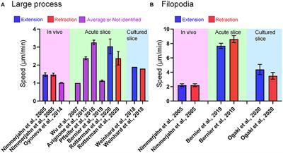 Assessing Microglial Dynamics by Live Imaging